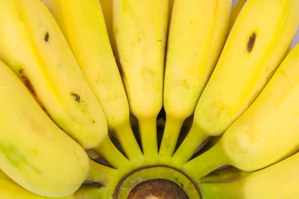 Bananas em um contexto — Fotografia de Stock