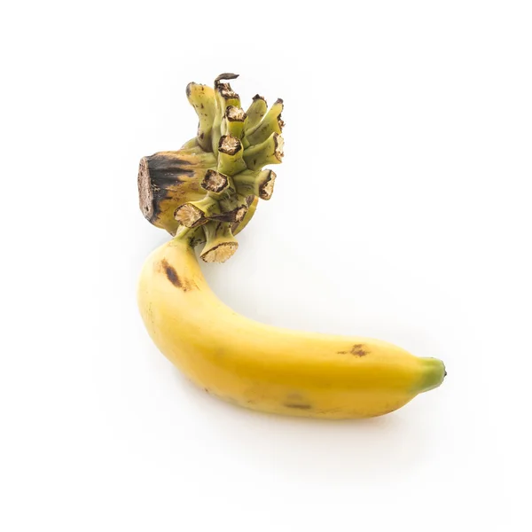 Banaan op witte achtergrond — Stockfoto