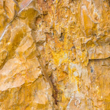 Taşlaşmış ahşap doku arka plan