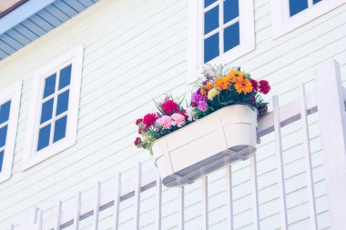 Evde asılı plastik saksı.