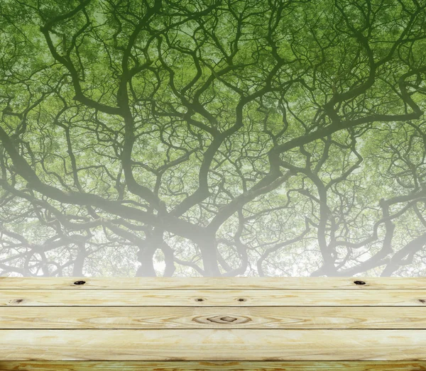 Trägolv perspektiv och grön skog — Stockfoto