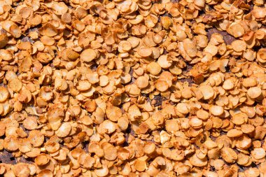 tembul palm, Kuru tembul fındık