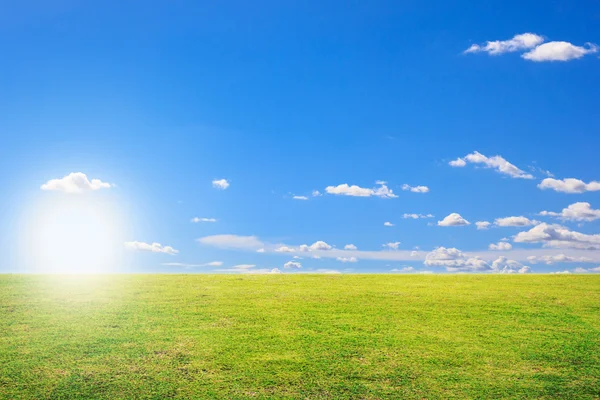 Sol al atardecer y campo de hierba fresca verde bajo el cielo azul — Foto de Stock