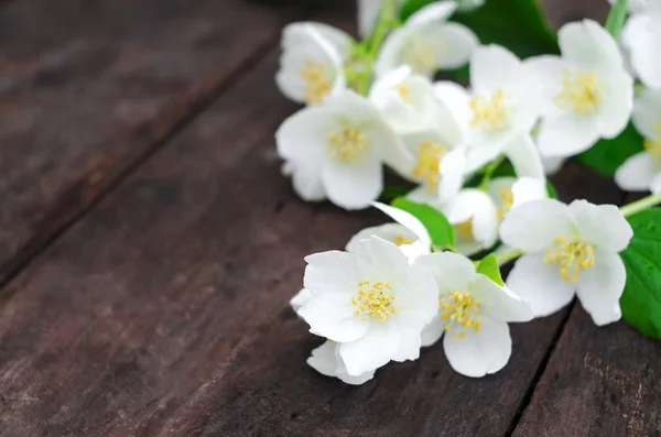 Jasmijn bloemen op een oude houten bord — Stockfoto