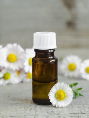Küçük şişe temel papatya yağı (tentür)