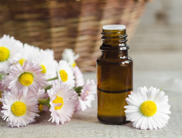 Small bottle of daisy flowers tincture — Stock Photo, Image