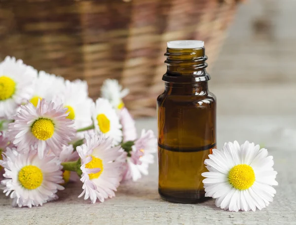 Piccola bottiglia di tintura di fiori di margherita — Foto Stock