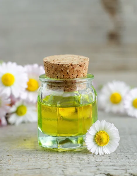 Piccola bottiglia di olio cosmetico di camomilla — Foto Stock