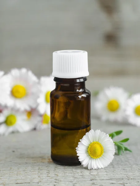 Piccola bottiglia di olio essenziale di camomilla (tintura ) — Foto Stock