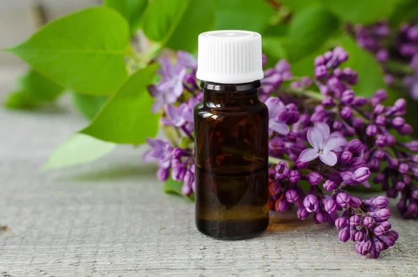Small bottle of lilac flowers tincture (cosmetic oil) — Stock Photo, Image