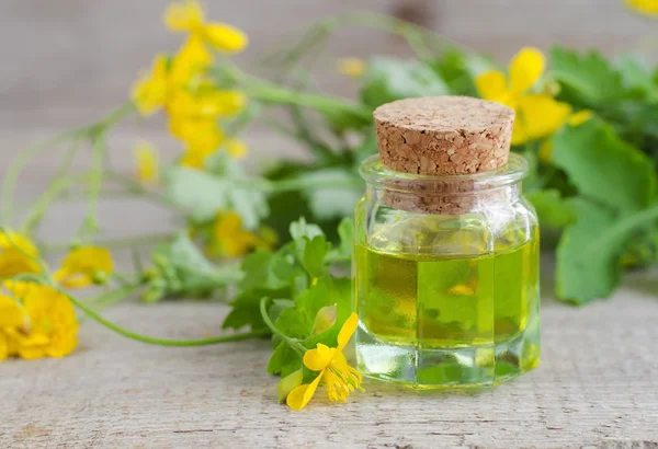 Kleine Flasche Schöllkraut-Infusion (Kräutertinktur, Öl) — Stockfoto