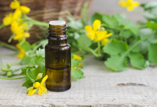 Küçük şişe kırlangıçotu infüzyon (bitkisel tentür, özü, petrol)  