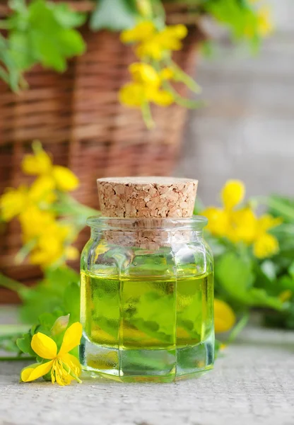 Frasco pequeño de infusión de celidonia (tintura herbal, aceite ) — Foto de Stock