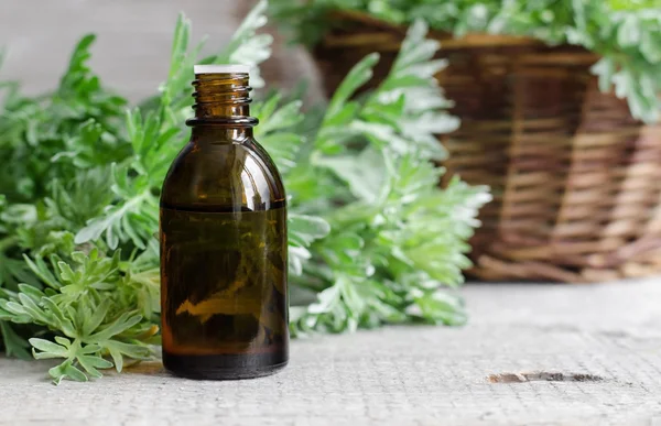 Small bottle of essential wormwood oil (herbal tincture, infusion, oil) — Stock Photo, Image