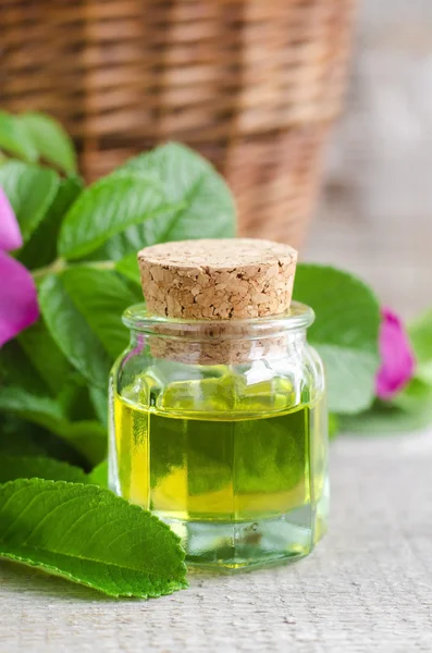 Small  bottle of natural cosmetic (massage) oil — Stock Photo, Image