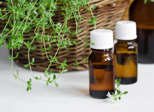 Small bottle of essential thyme oil — Stock Photo, Image