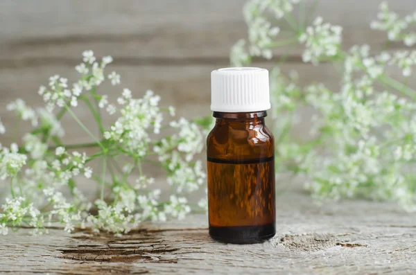 Kleine fles natuurlijke cosmetische (essentieel) aroma olie — Stockfoto