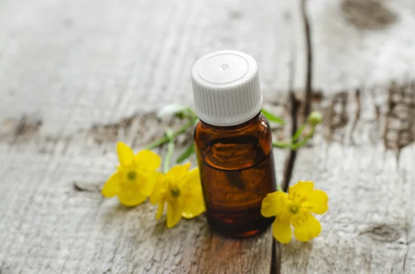 Pequeña botella de aceite de aroma cosmético natural (esencial) —  Fotos de Stock