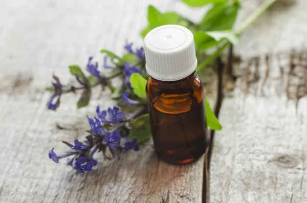 Small  bottle of natural cosmetic (essential) aroma oil — Stock Photo, Image