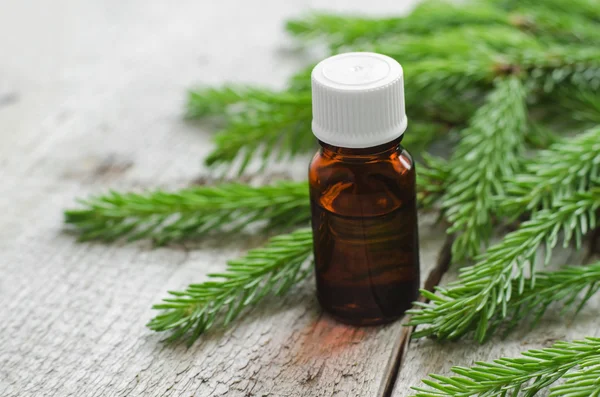 Small bottles of essential spruce (fir) oil — Stock Photo, Image