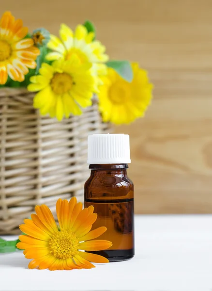 Kleine fles van calendula olie (Pot Goudsbloem extract, tinctuur, infusie) — Stockfoto