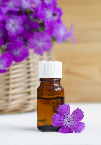Kis üveg olaj természetes kozmetikai (alapvető) aroma — Stock Fotó