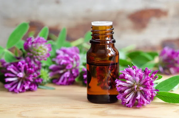 Small bottle of red clover extract (tincture, infusion, oil) — Stock Photo, Image