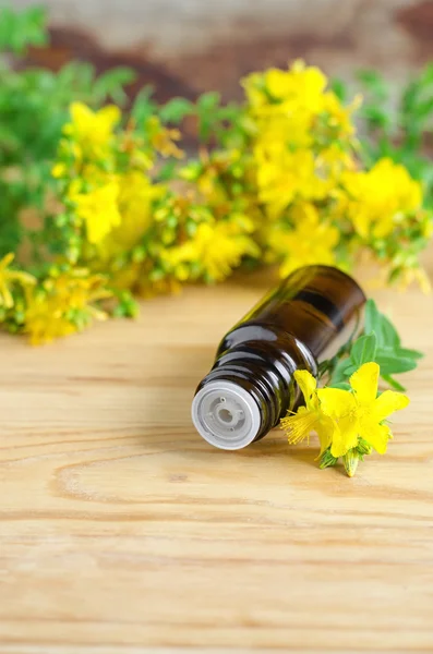 Kleine Flasche ätherisches Johanniskrautöl (Extrakt, Tinktur, Aufguss)) — Stockfoto