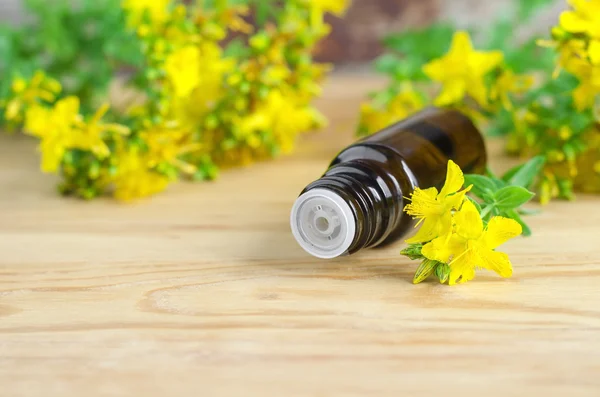 Botella pequeña de aceite esencial de hierba de San Juan (extracto, tintura, infusión) ) —  Fotos de Stock