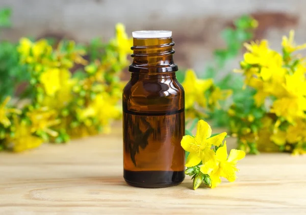 Botella pequeña de aceite esencial de hierba de San Juan (extracto, tintura, infusión) ) — Foto de Stock