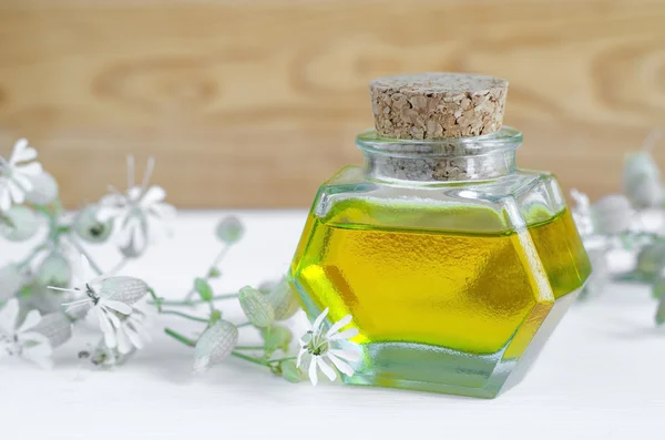 Liten flaska kosmetisk olja med blommor extrahera (naturlig parfym) — Stockfoto