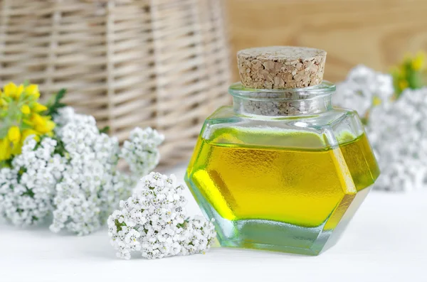Small bottle of yarrow oil (extract, tincture, infusion) — Stock Photo, Image
