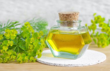 Atatürk cyparissias küçük şişe, selvi spurge ayıklamak (Süt kardeş bitkisel tentür, infüzyon, petrol)  