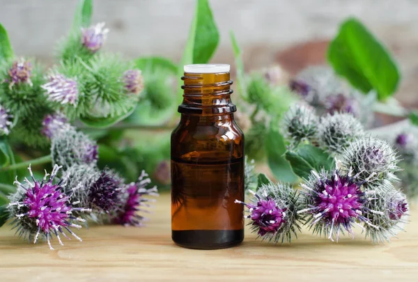 Small bottle of burdock extract (oil, tincture, infusion) — Stock Photo, Image