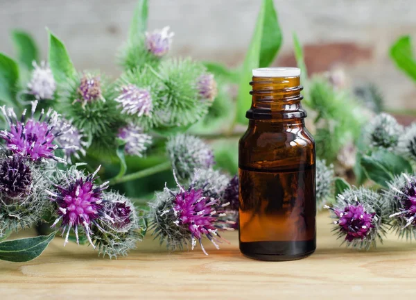 Small bottle of burdock extract (oil, tincture, infusion) — Stock Photo, Image