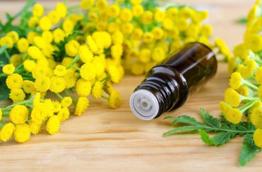 Small bottle of essential tansy oil clipart