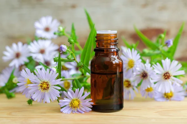 Small bottle of essential aroma oil (herbal extract, tincture, infusion) — Stock Photo, Image