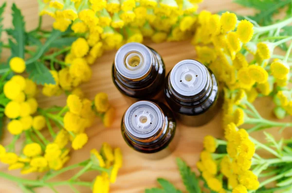 Tre piccole bottiglie di olio essenziale di tanaceto (estratto di erbe, tintura, infusione ) — Foto Stock
