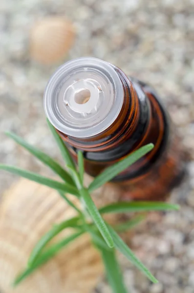 Small bottle of essential rosemary oil. Bottle dropper tip insert close up. — Stock Photo, Image