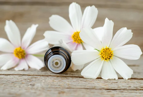 Kleine Flesjes Met Essentiële Olie Witte Bloemen Aromatherapie Zelfgemaakte Spa — Stockfoto
