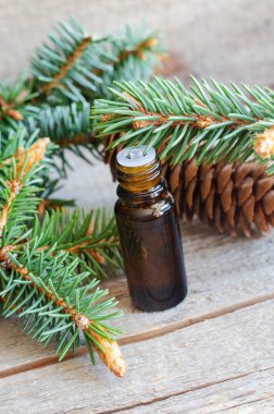 Temel köknar yağı içeren küçük şişe (özet, tentür, infüzyon). Eski ahşap arka plan. Aromaterapi, spa ve bitkisel tıp konsepti. Boşluğu kopyala. 