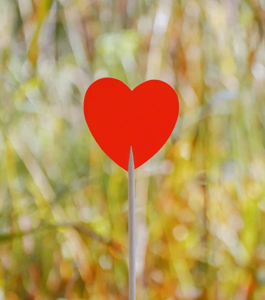 Coração vermelho com fundo bokeh — Fotografia de Stock