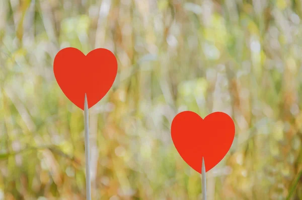 Dois corações vermelhos com fundo bokeh — Fotografia de Stock