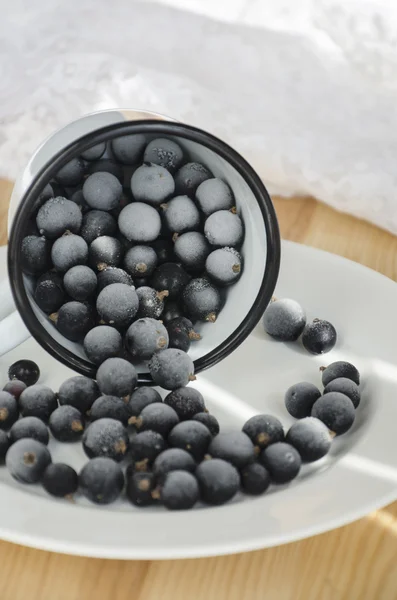 Frozen berries — Stock Photo, Image