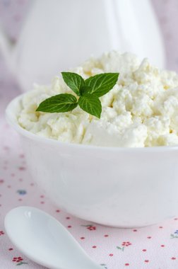 taze ev yapımı peynir