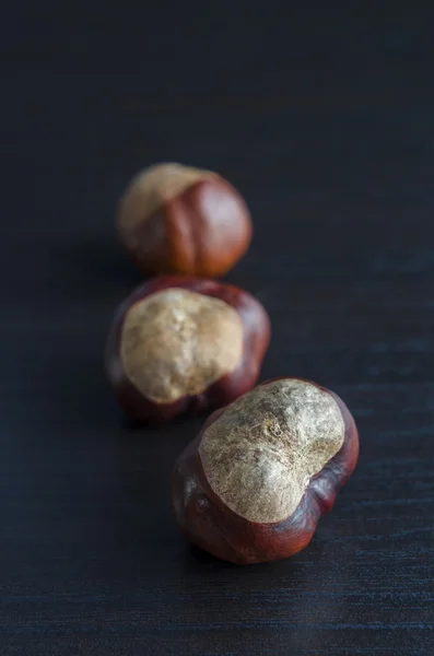 Three chestnuts close up — Stock Photo, Image