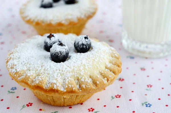 Mini bolos caseiros com bagas e açúcar de confeiteiro — Fotografia de Stock