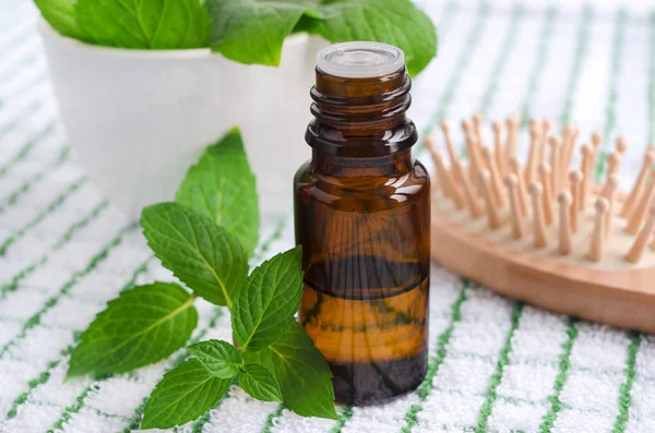 Essential mint oil — Stock Photo, Image