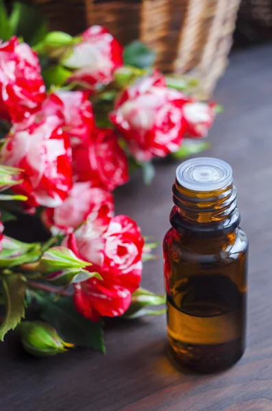 Essential rose oil — Stock Photo, Image