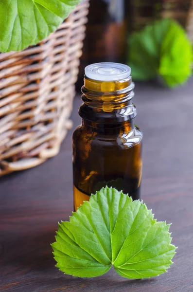 Essential geranium oil — Stock Photo, Image